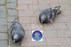 01-IMG_6205